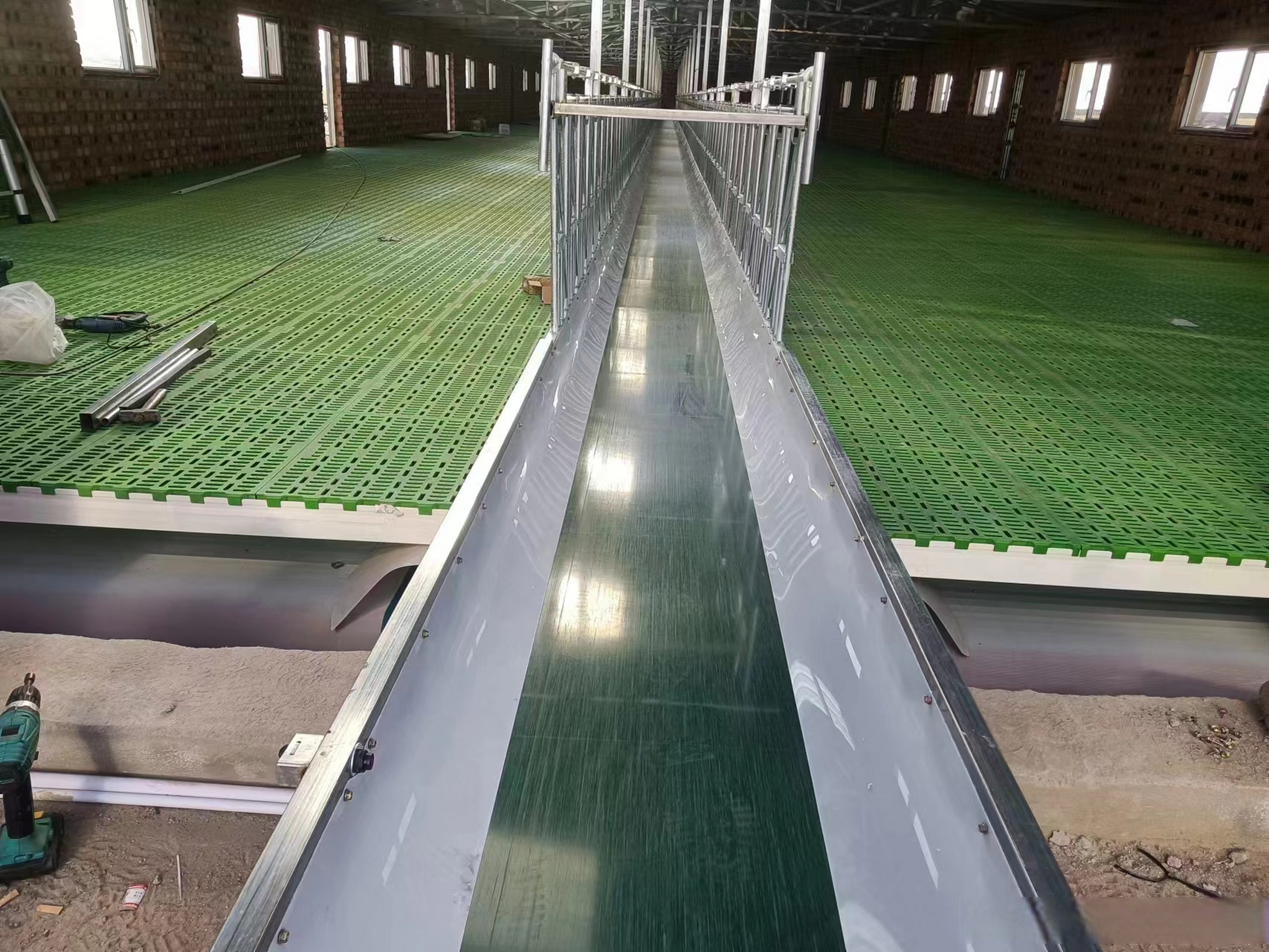 输送带饲喂#饲喂设备#养羊设备#养殖设备现代化养殖