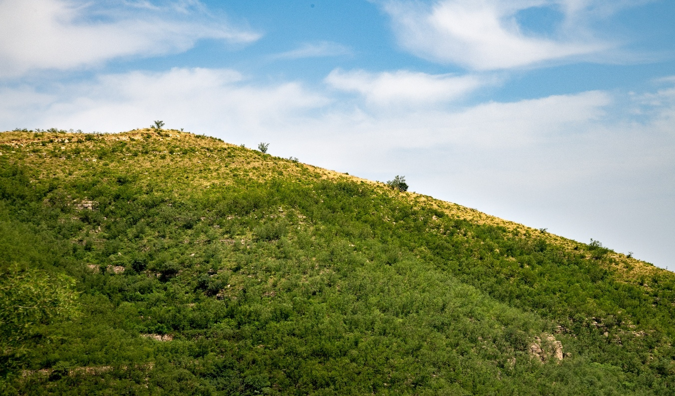 石家庄鹿泉区九里山 周末去哪儿