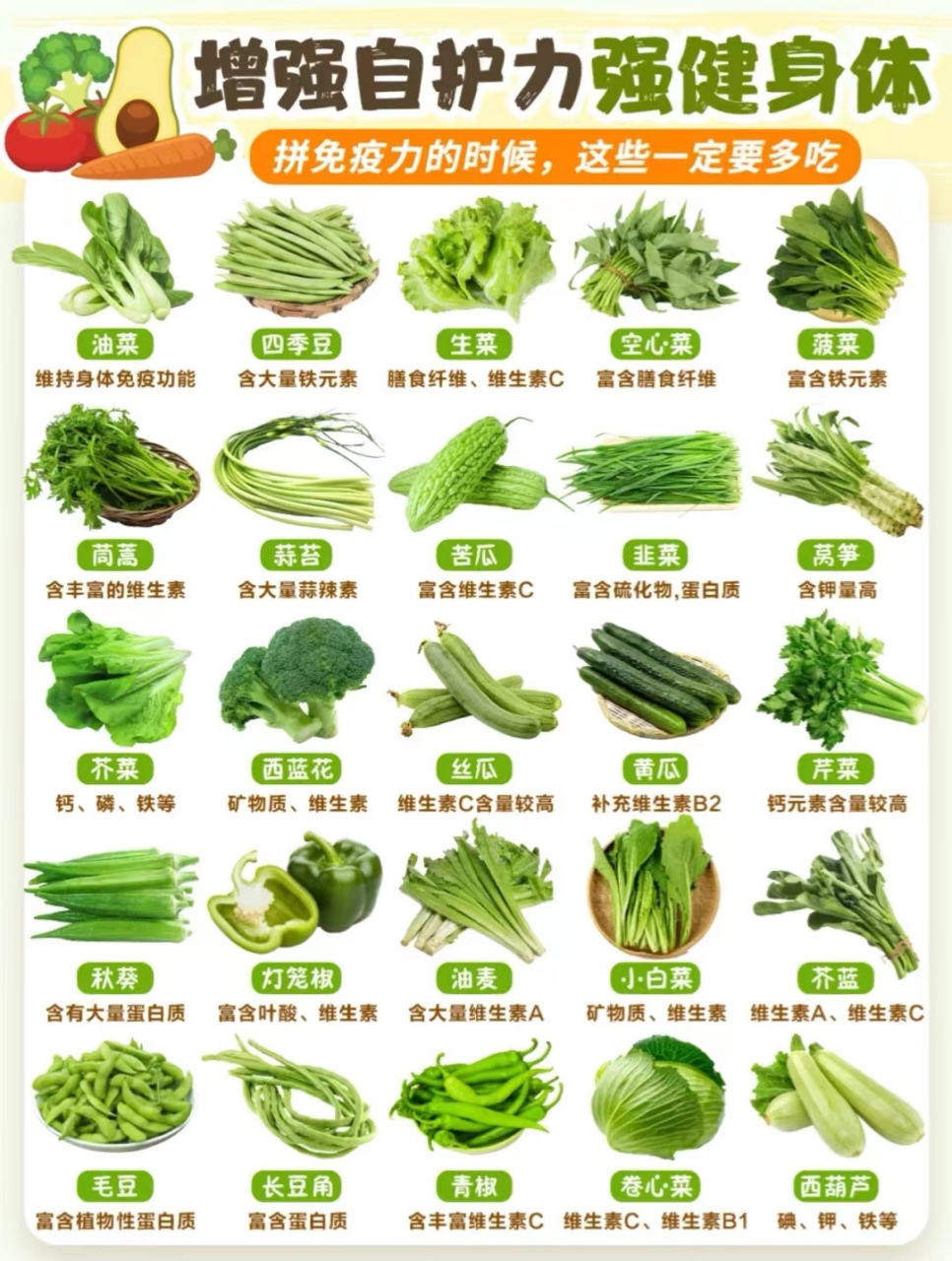 02增强自护力09一定要多吃的绿色蔬菜75 各位宝