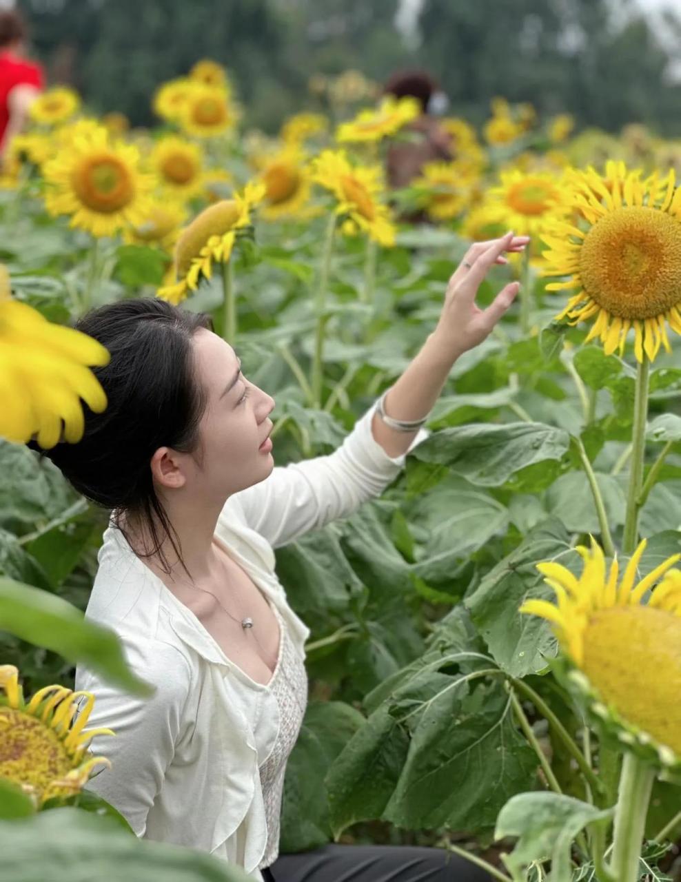 生于华夏 何其有幸属于国庆的浪漫 分享浪漫的花海 打卡葵花园