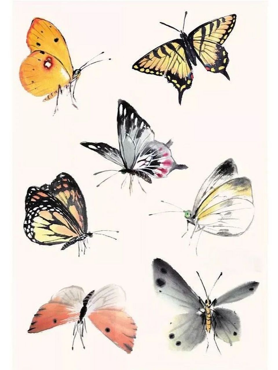 简单的蝴蝶怎么画国画图片