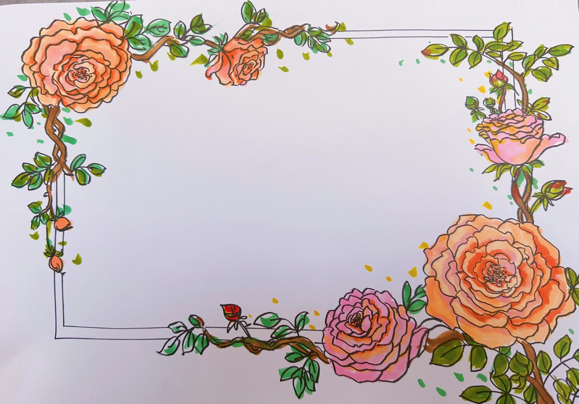 月季花手抄报线稿