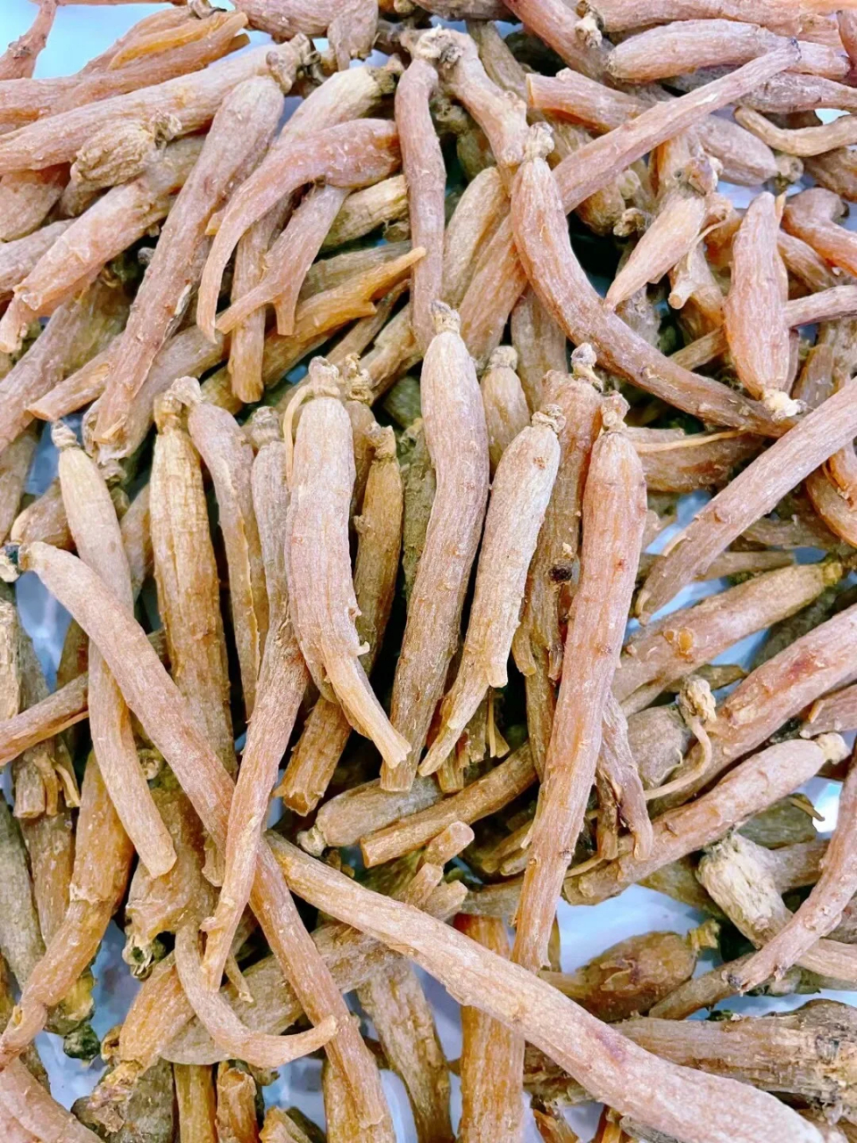 纯无糖优质小红参,女性专用 补血补气,红参煲汤会让你的身体慢慢喜欢