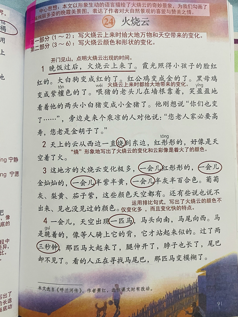 三年级语文下册 火烧云 笔记 预习 94 第24课