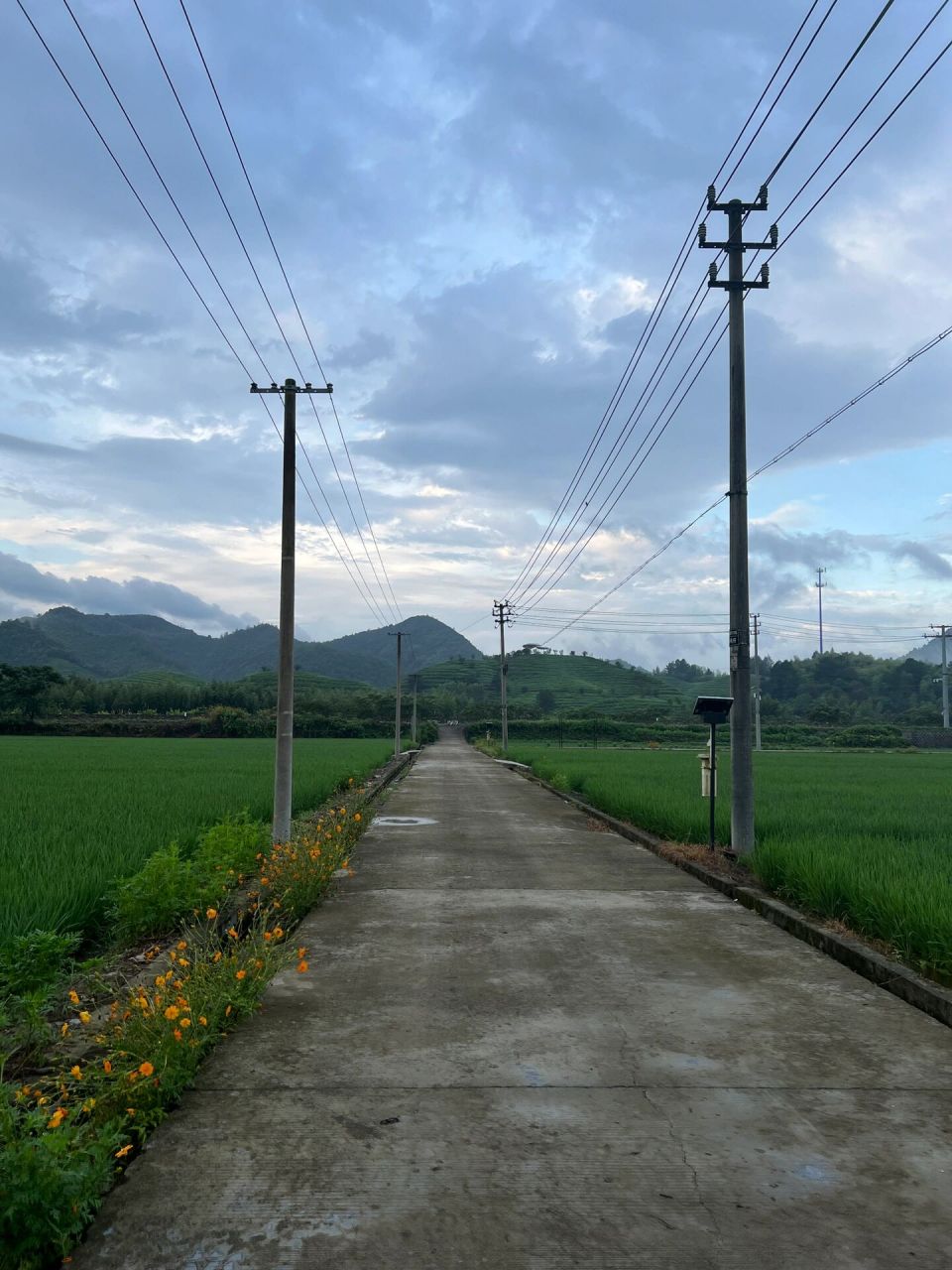 桐庐最美乡村分水镇亲子游拍照避坑 大美乡村风光,城市的娃被这里的
