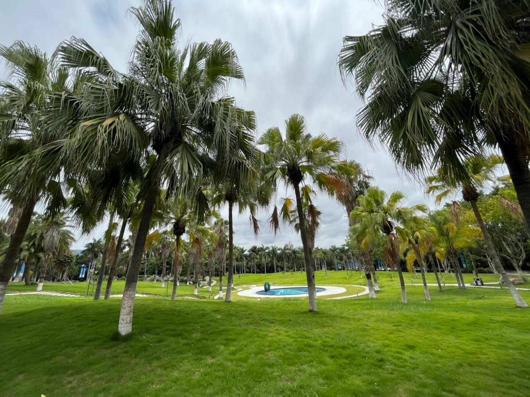 强烈推荐—攀枝花红格天然温泉7615 由于大学在攀枝花读的 本人