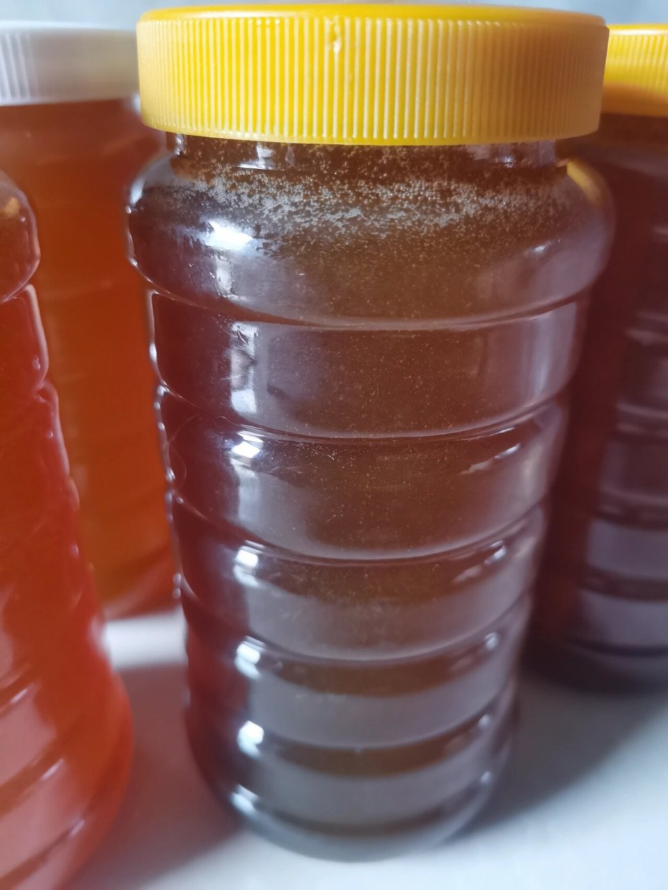 云南西双版纳马叉蜂蜂蜜 正宗的云南西双版纳马叉蜂蜂蜜,野生蜂蜜