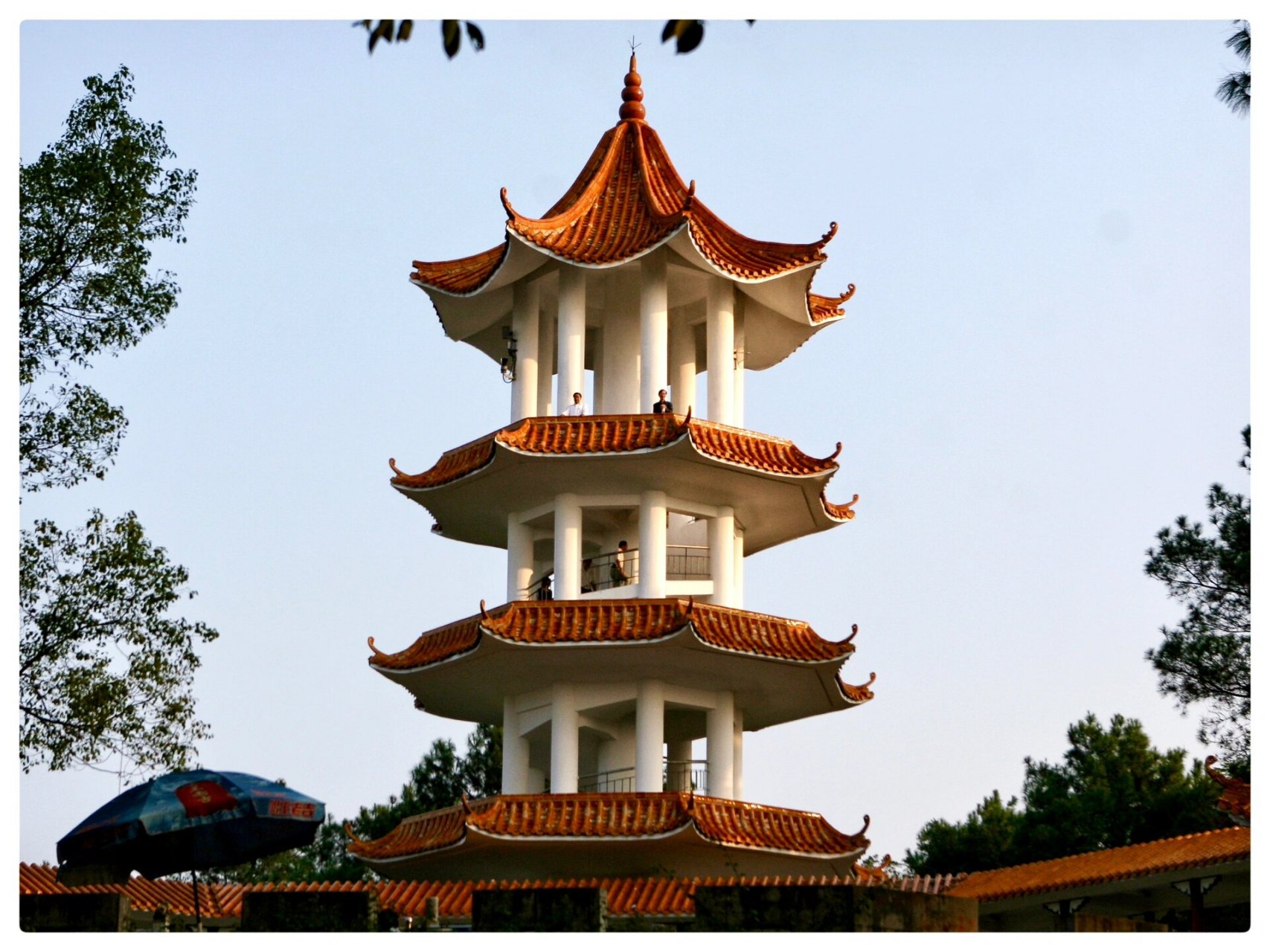 青秀山凤凰塔|拆除已10年,何时能重建?