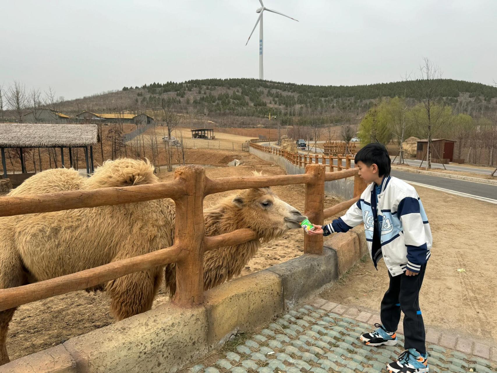 方特野生动物园图片