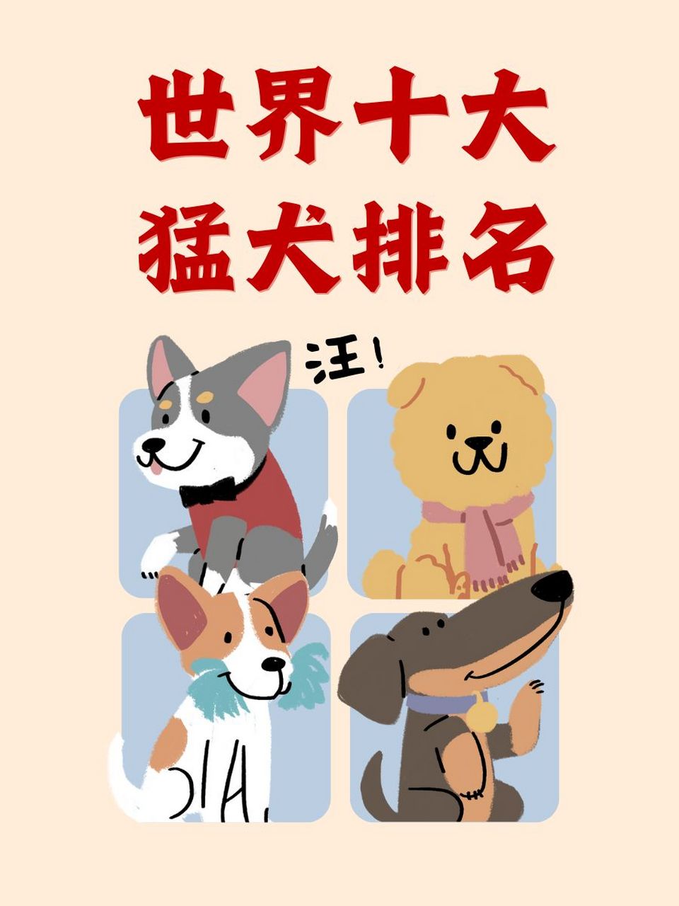 世界十大猛犬排名 96 比特犬:好斗无畏,排名第一!