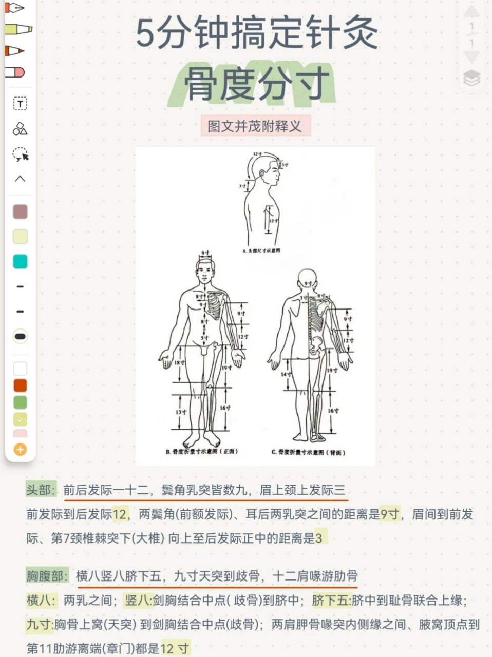 5分钟搞定中医针灸骨度分寸   图文并茂 歌诀 释义 考研执医都必考,没