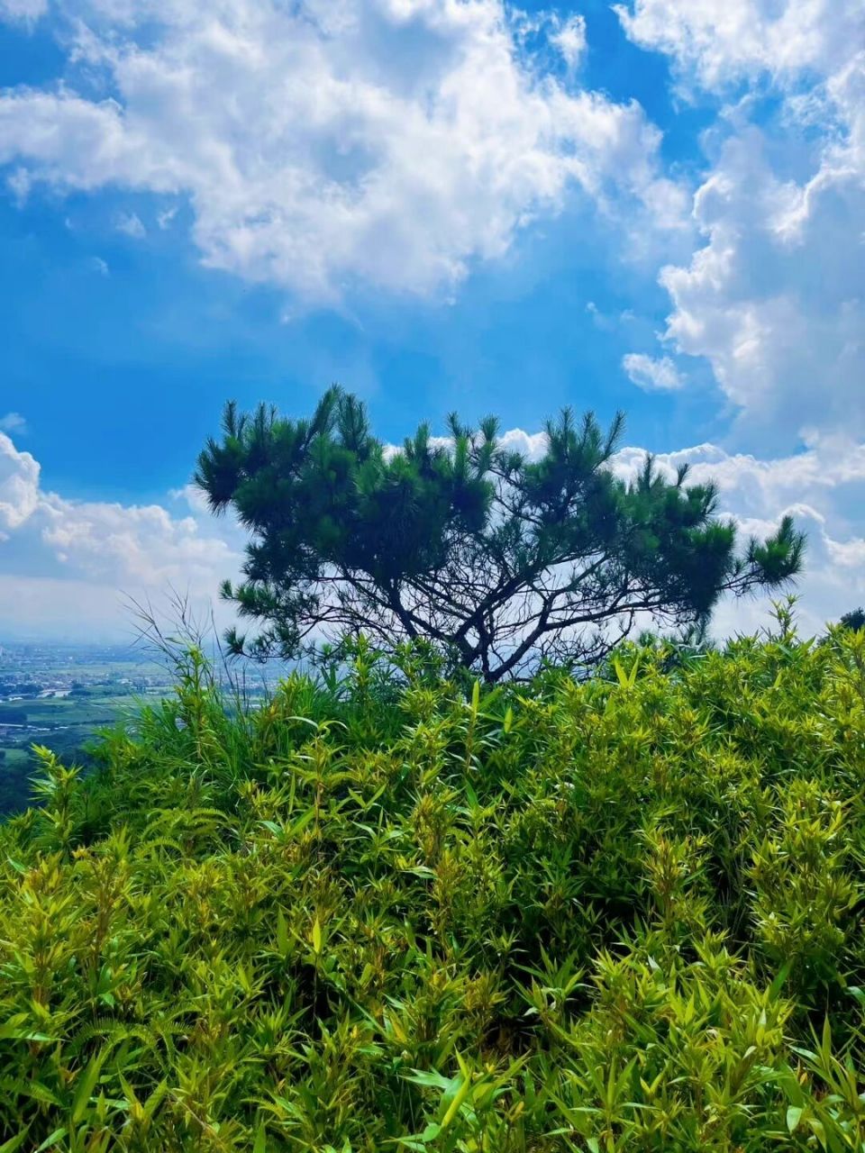揭阳爬山推荐| 大桑浦山 这座山来的人比较少7215 属于私人领地
