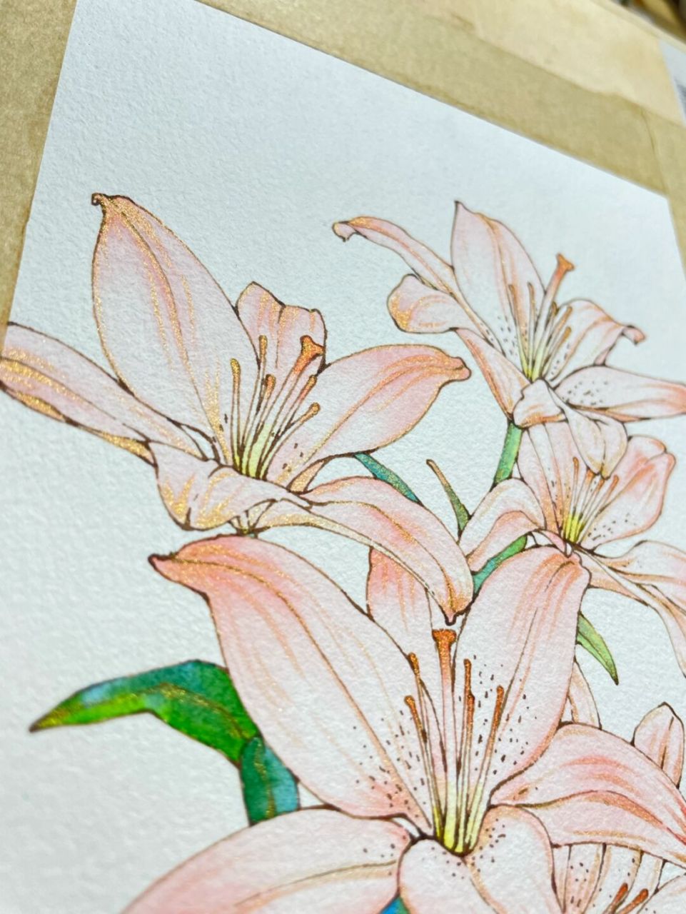 钢笔淡彩百合花～ 笔 英雄007 云月笔庄小红豆 墨水 鲶鱼北极熊棕