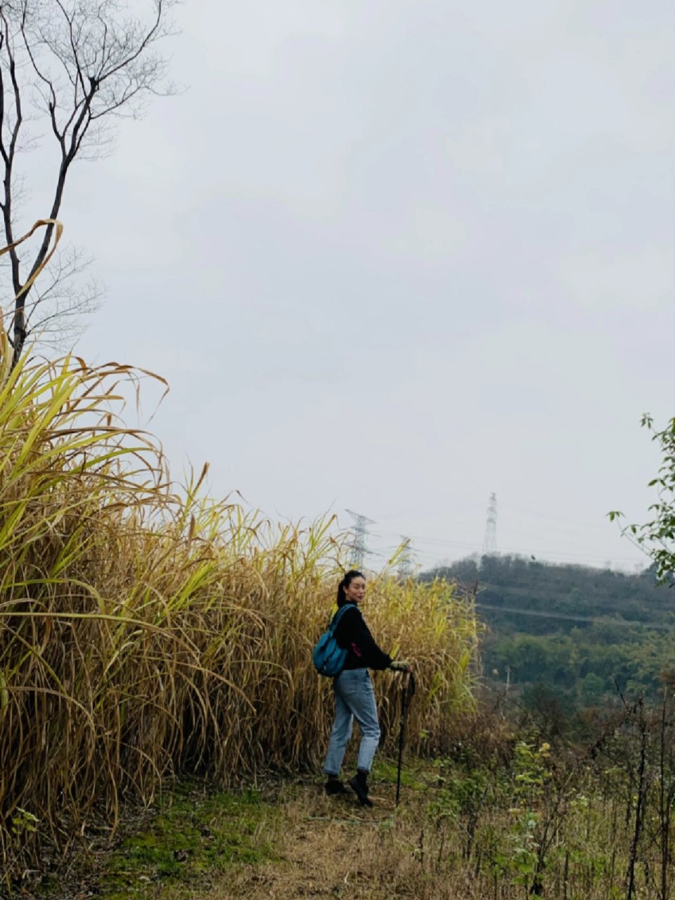 徒步爬山|寨山坪森林公园   每周一山徒步计划