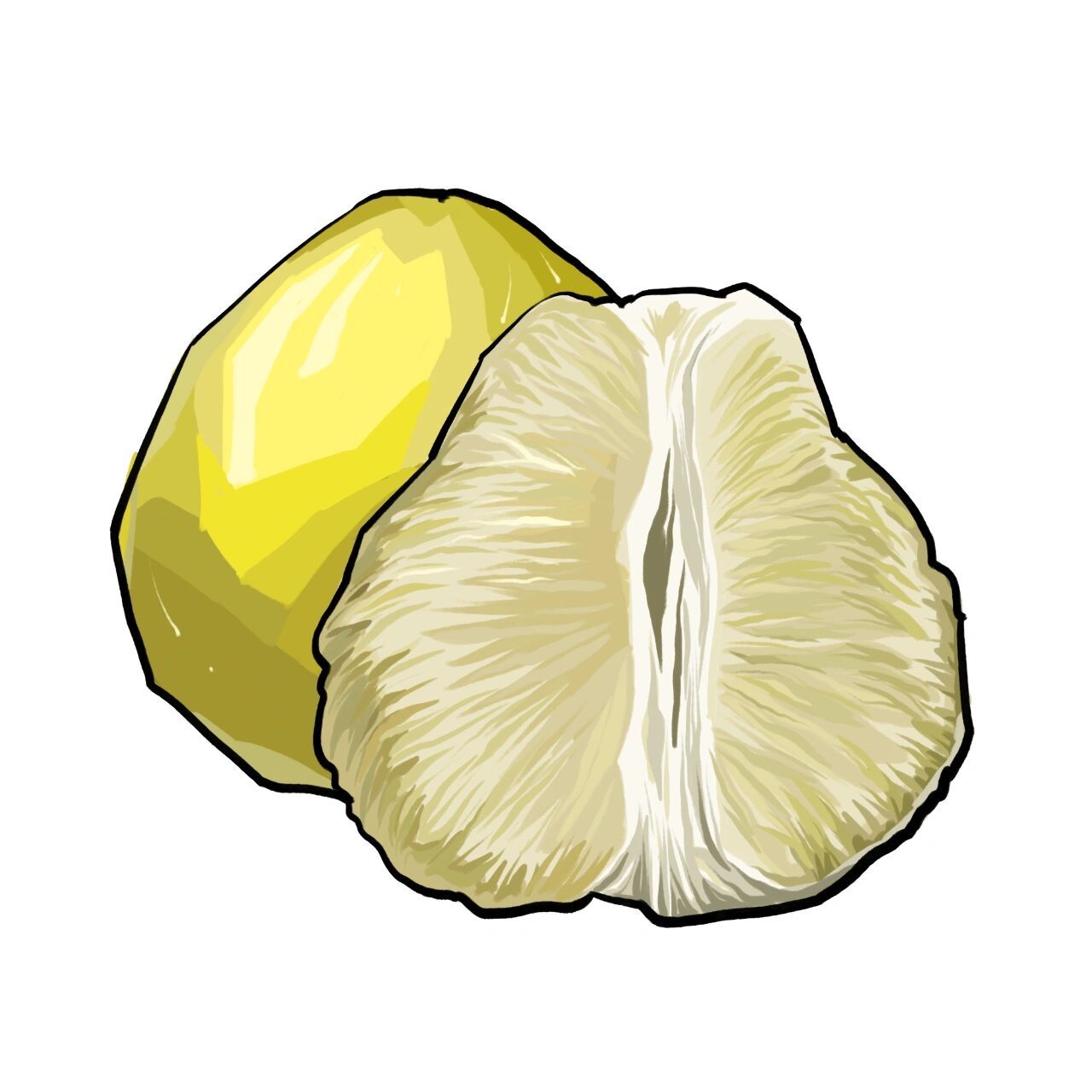 柚子简笔画教学