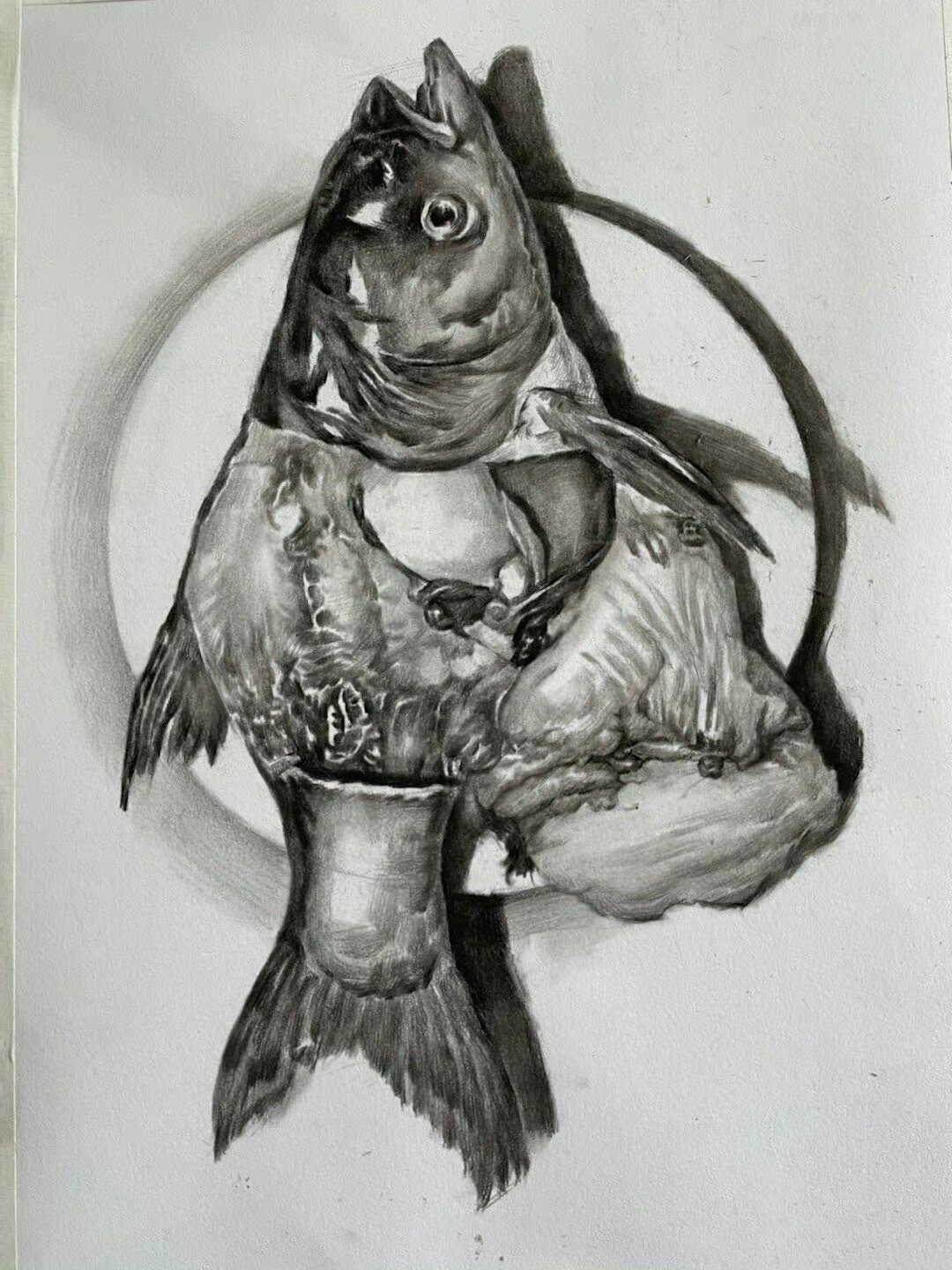 精微素描—鱼 静物素描鱼作画步骤