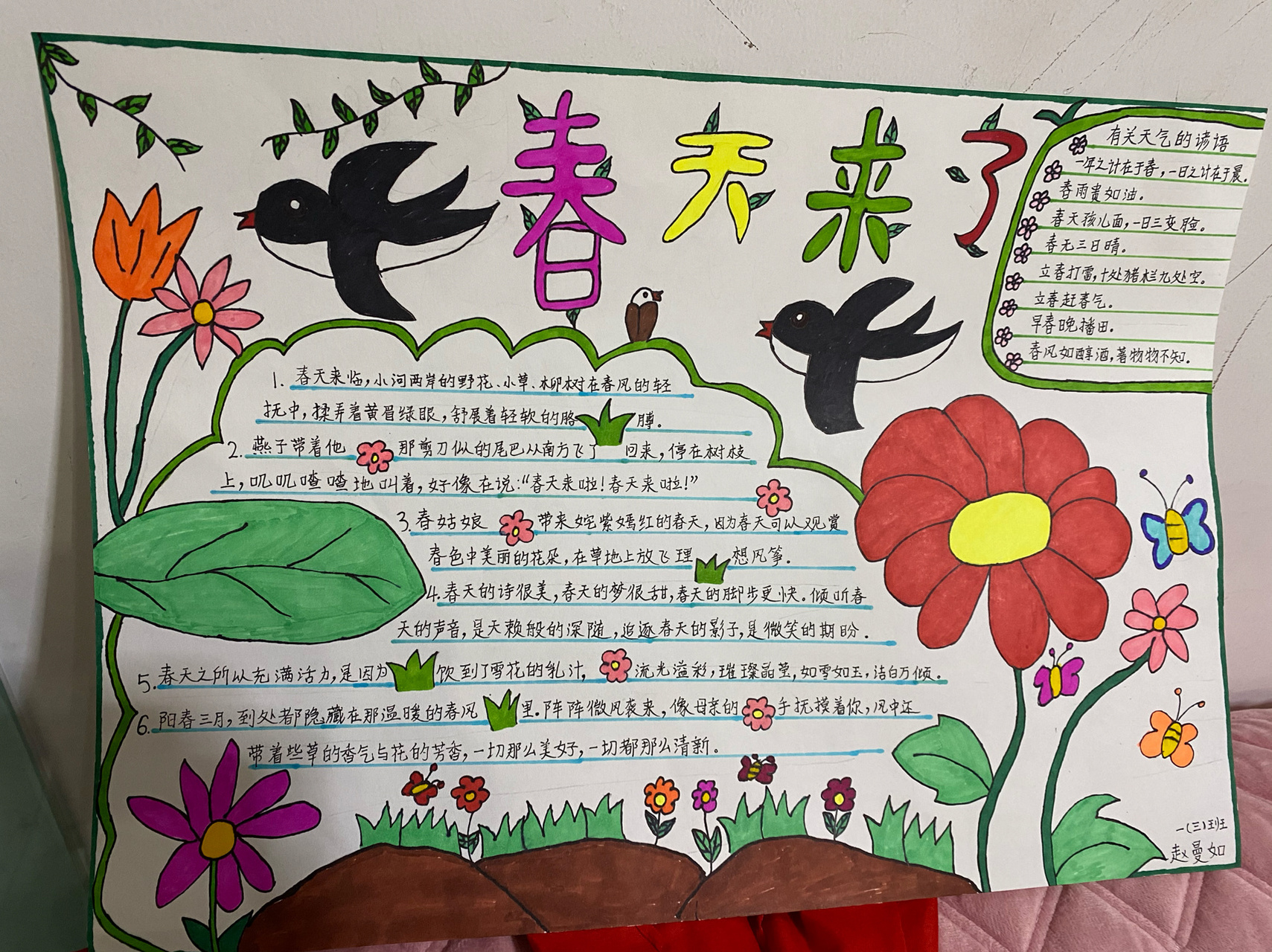 春天来了手抄报