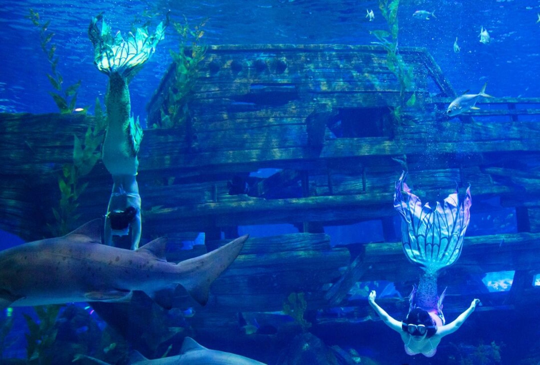 无锡融创海世界115669715演出时间表