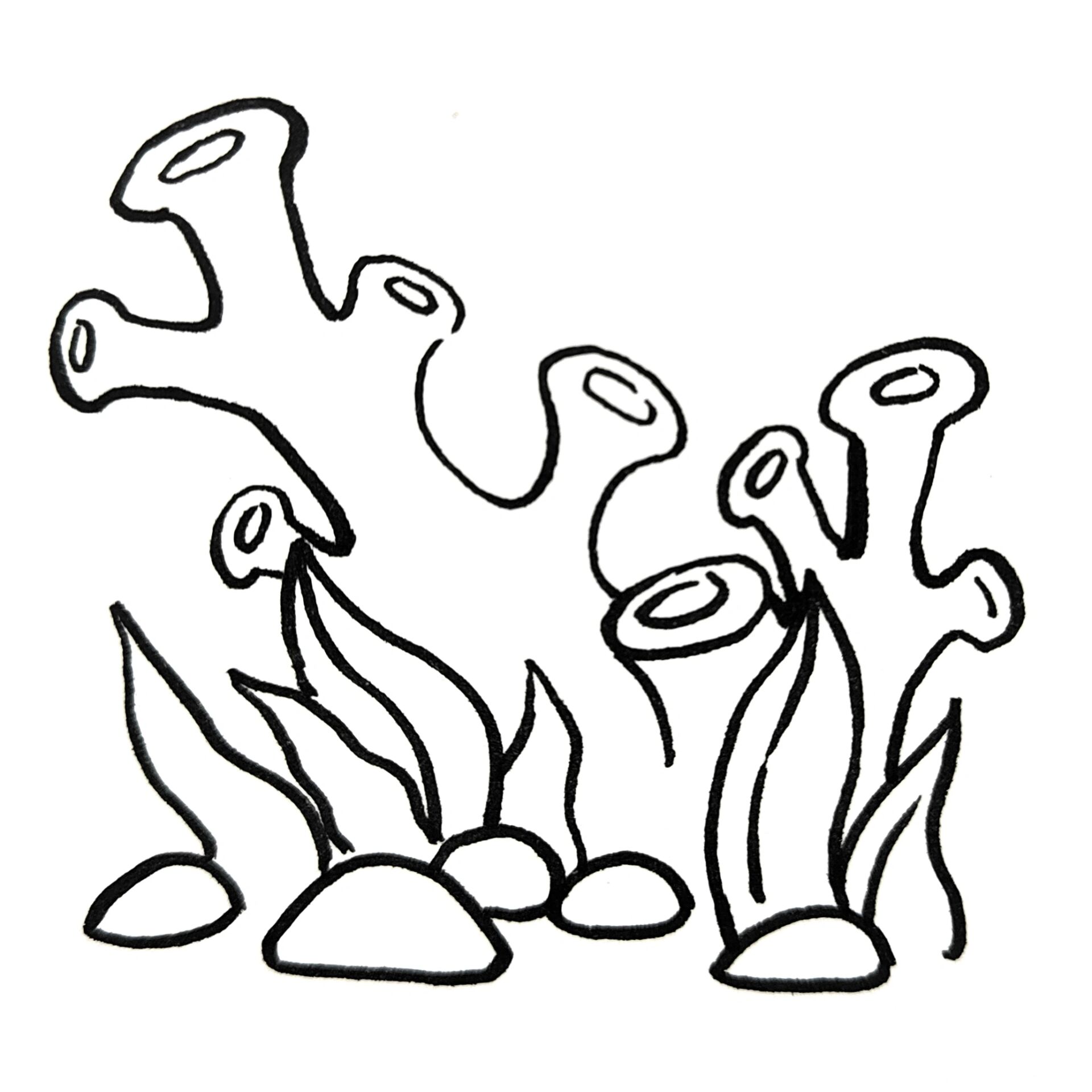 海底世界 海草素材 海草简笔画