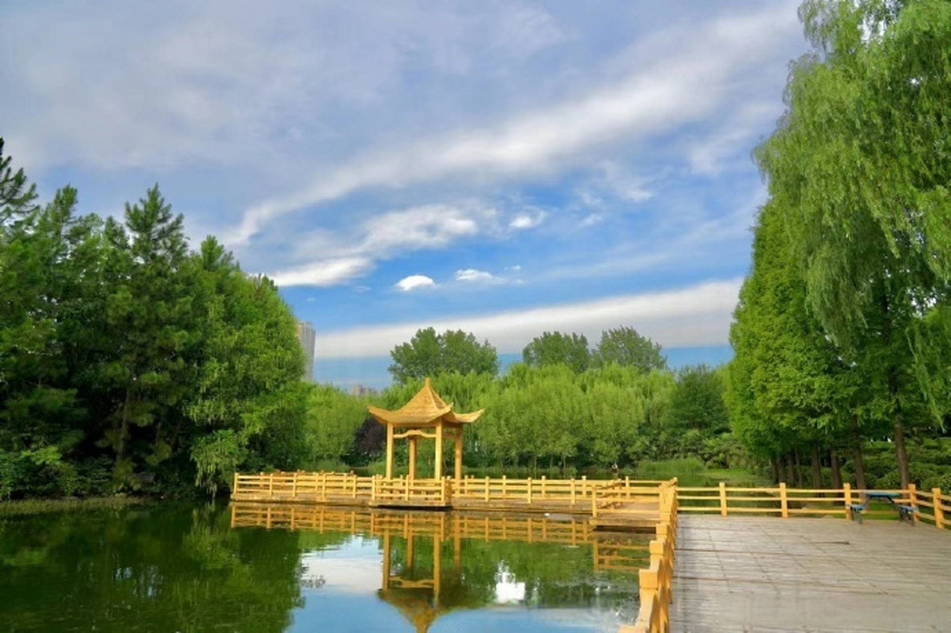 豫见最美校园# 风雨过后见彩虹,南阳理工学院 的景色更加秀丽,校园内