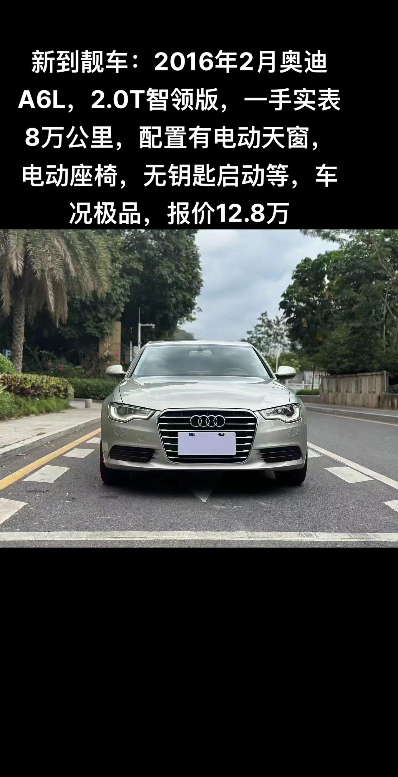 奥迪a6l配置参数表电池型号(奥迪a6电瓶型号规格)