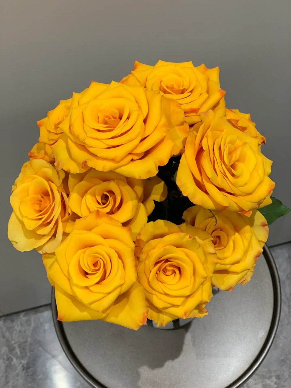 辉煌玫瑰|力量与温暖兼具 凑单买到的金黄色玫瑰辉煌,也有叫太空 内瓣