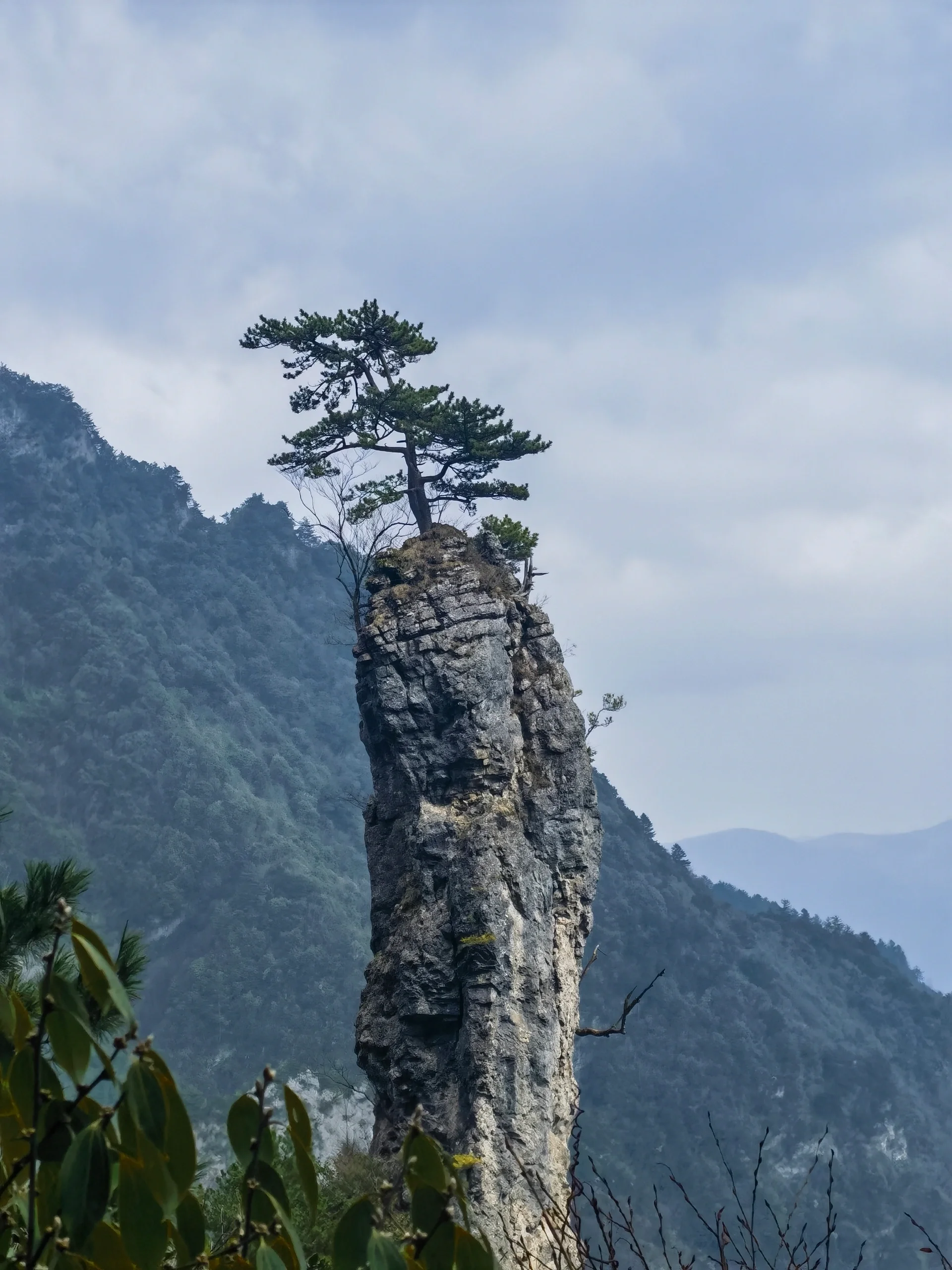 八台山照片图片