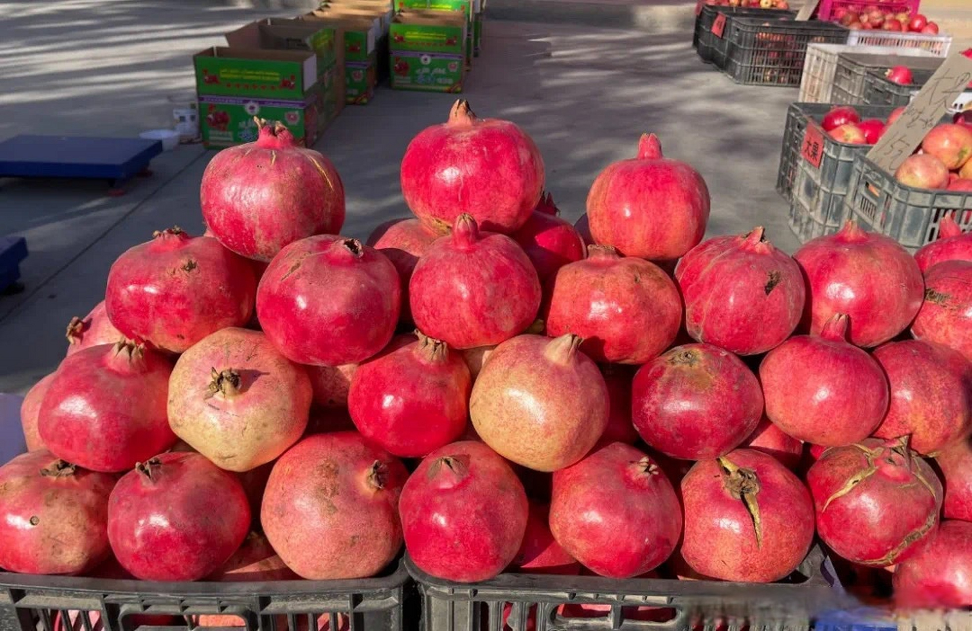 喀什这里的石榴红了,金秋采摘,乐享丰收～#小新带你云游新疆##国庆节