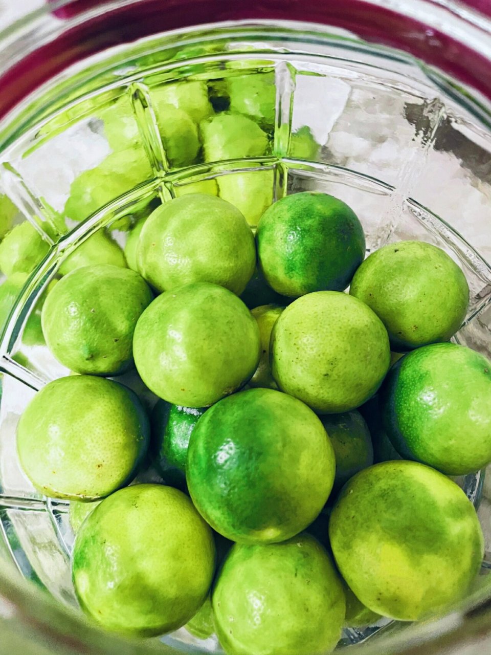 腌了十斤咸柠檬 选的广西土柠檬,用的无碘盐,无水无油去蒂)去不去无