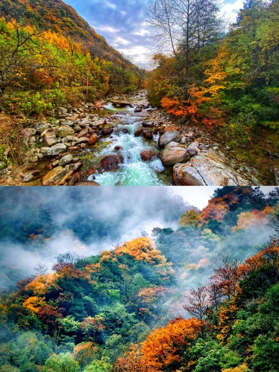 放假不出省 | 打卡西北九寨沟黄柏塬景区 91秋天是一个最富有诗意的