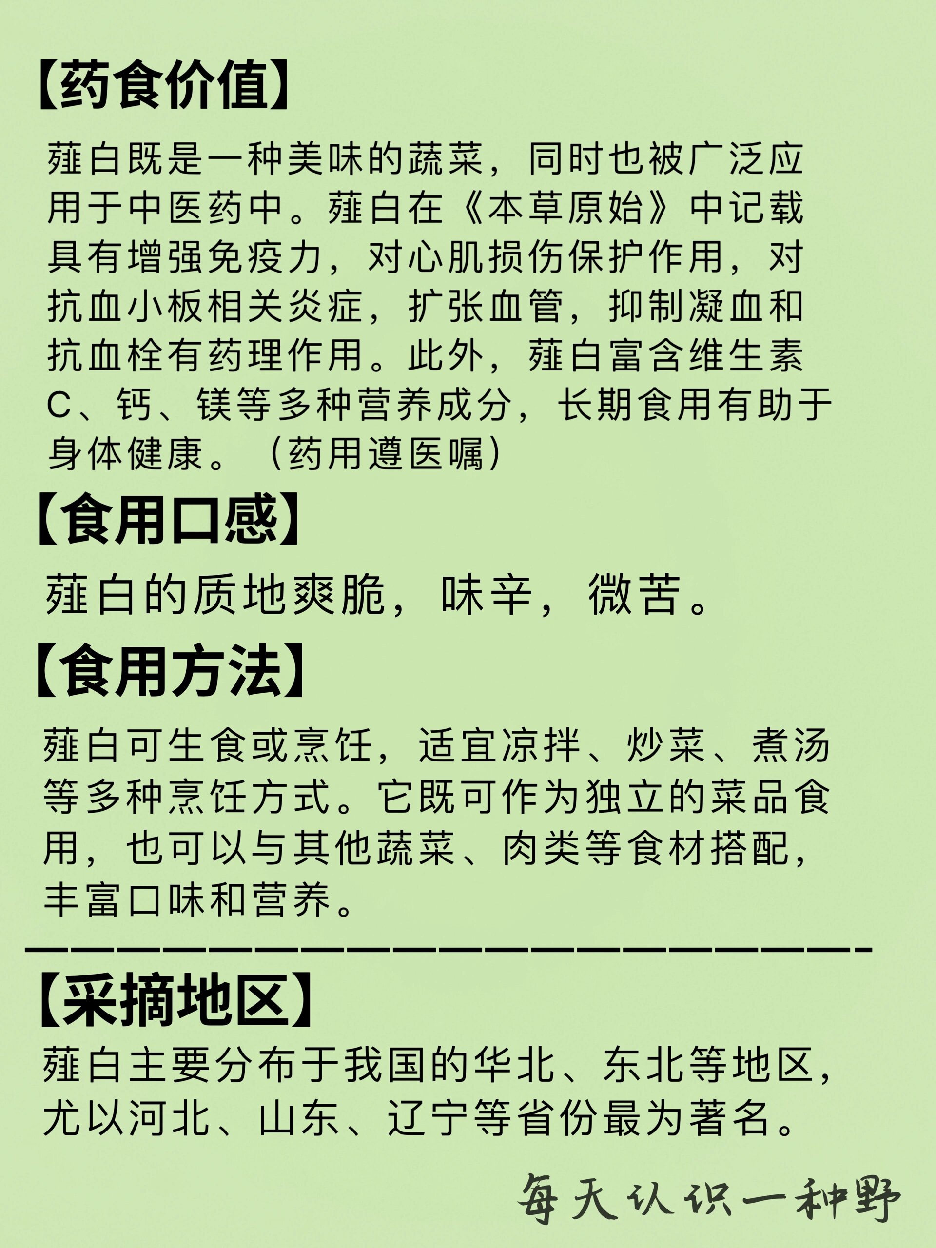 薤白归经图片