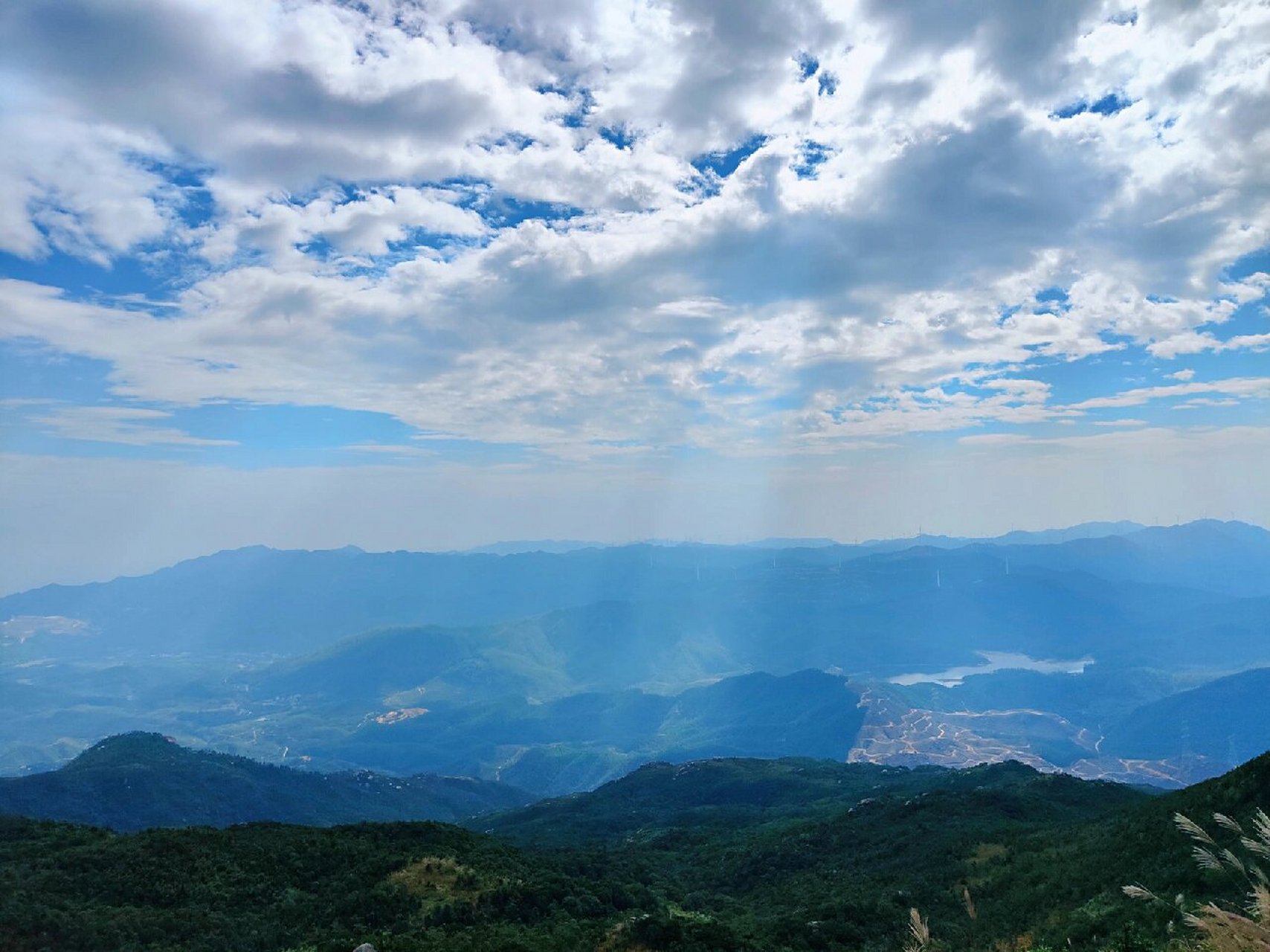 新洲吧图片