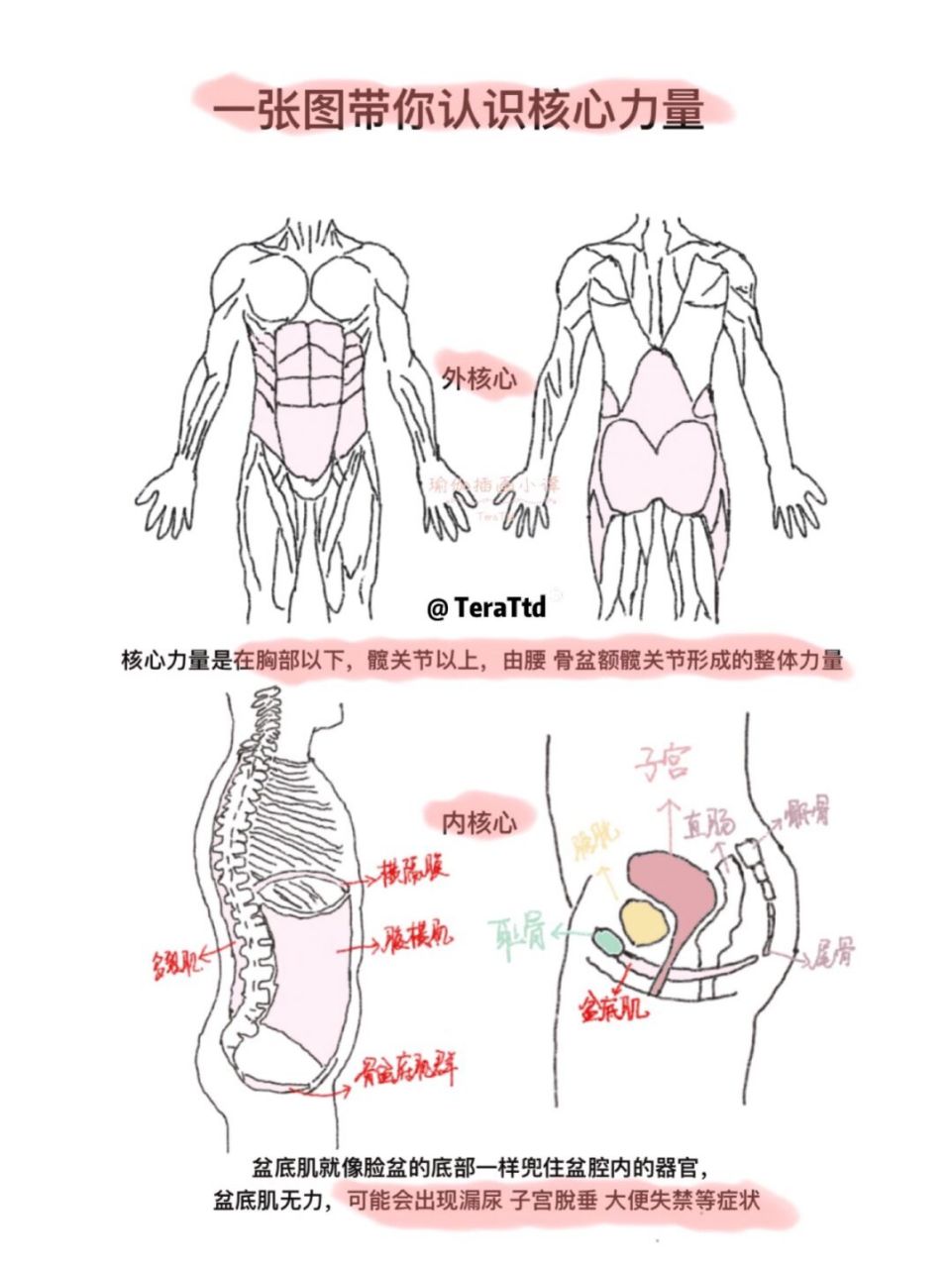 核心示意图图片