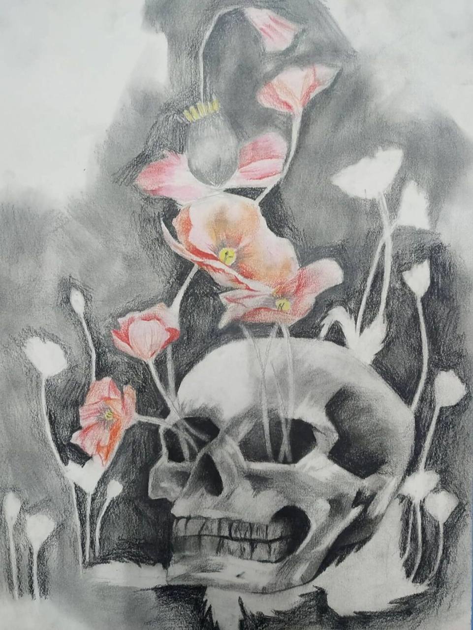 学生的禁毒绘画作品.