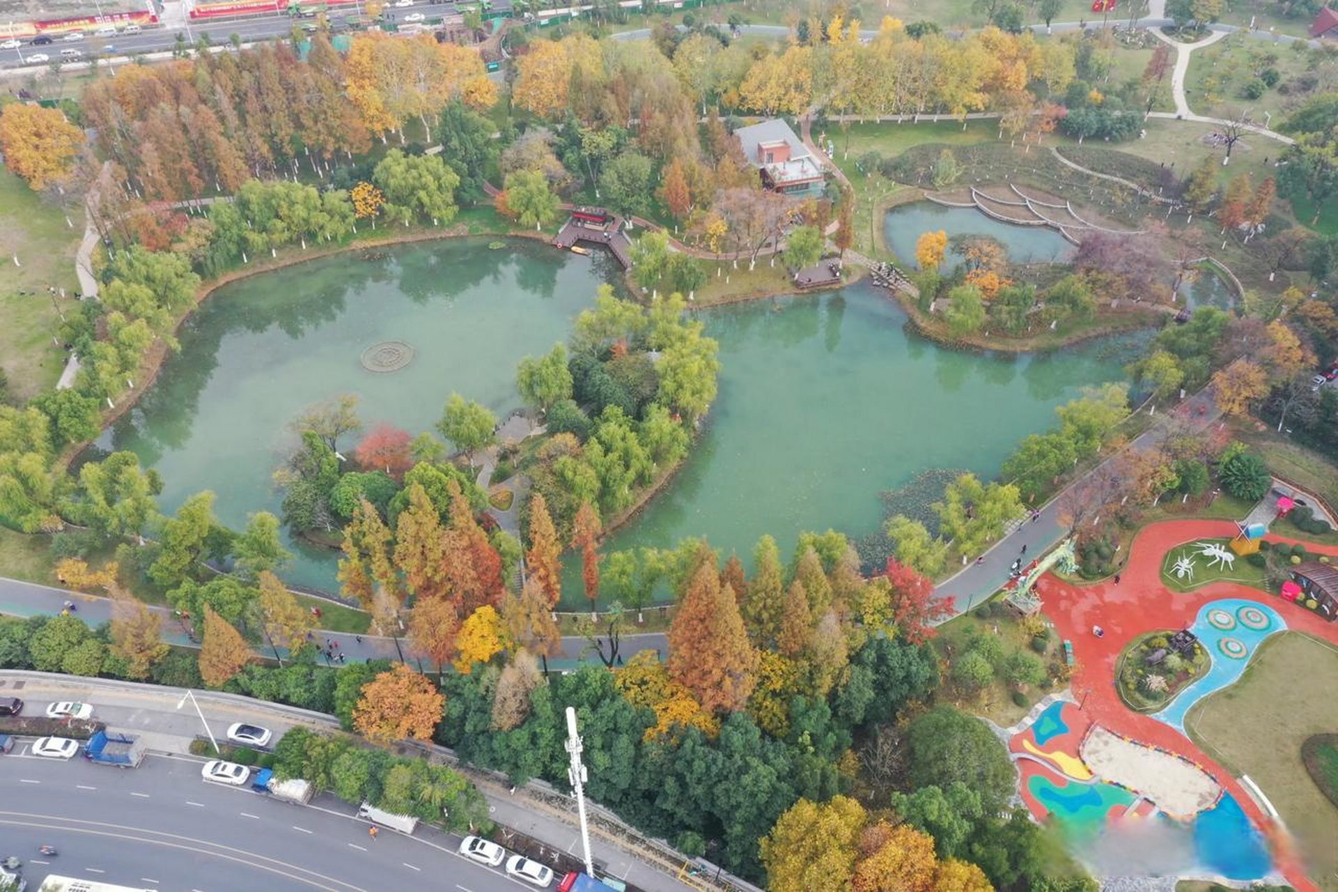 秋日的合肥花冲公园