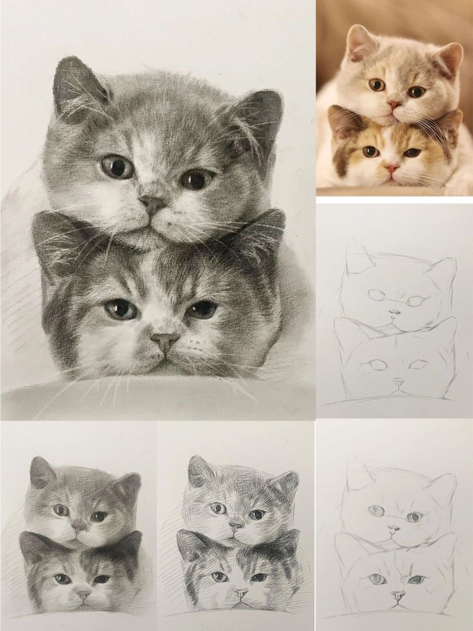 又有趣的素描"叠猫猫"步骤详解 #明暗的艺术##素描# 素描 #素描动物