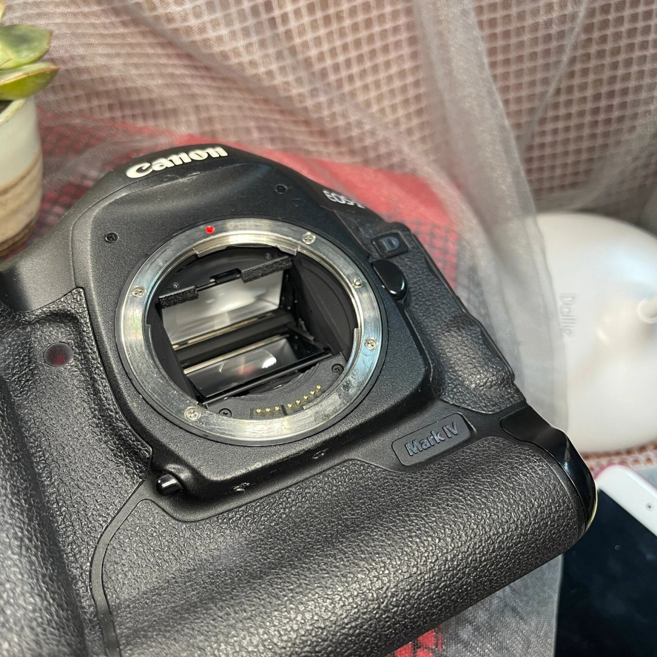 佳能 eos-1dmark iv 小马四canon 1d4全画幅 佳能 eos-1dmark iv 小马