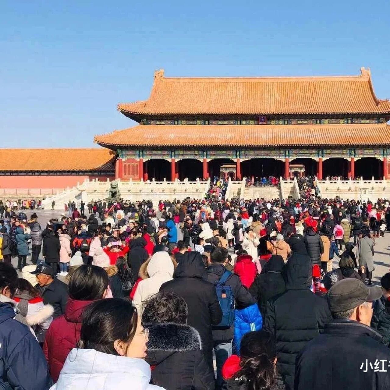 故宫门票抢不到是有原因的 每天人山人海 故宫每天早上排队等着进宫的