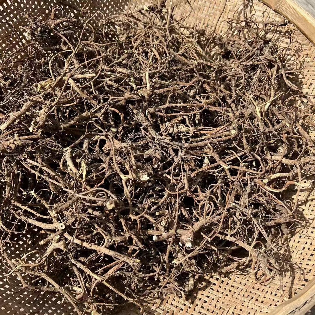 山里的草本植物,野生小柴胡   神农架野生小柴胡 高山野生北柴胡,我们