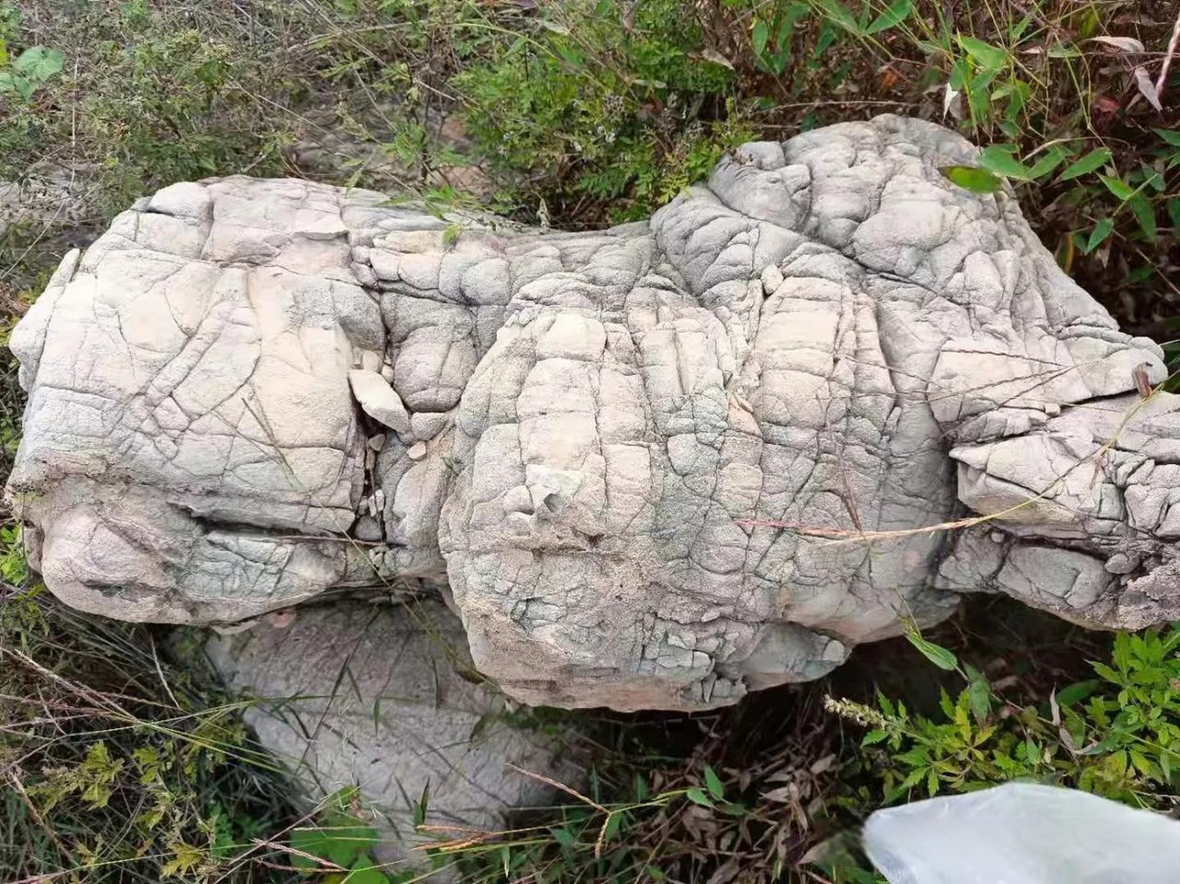 原石生态,自然形状,纯天然丑石,若是放在公园或者河道两边,是不是给