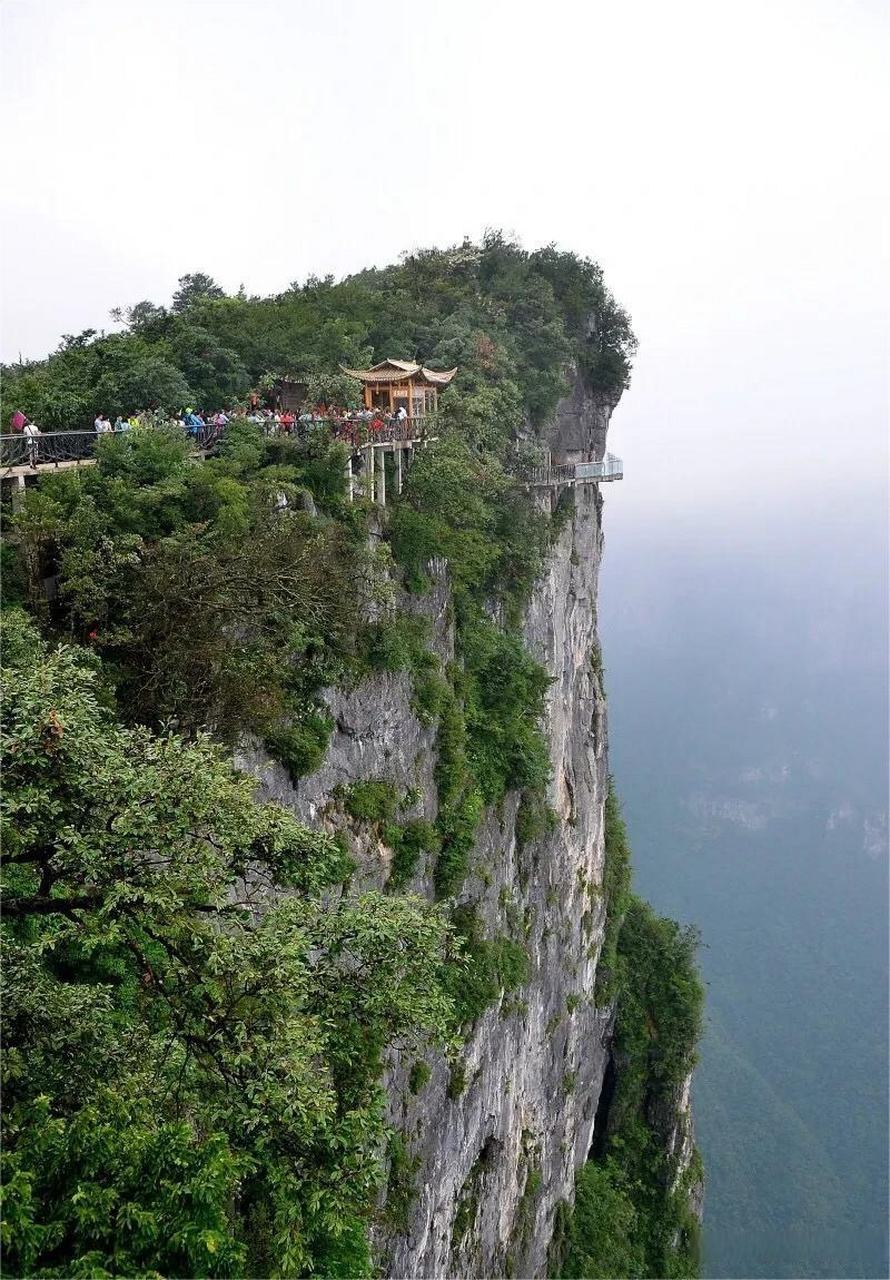 张家界天门山景区四人跳崖事件四人集体跳崖身亡事件,几天来上了热搜