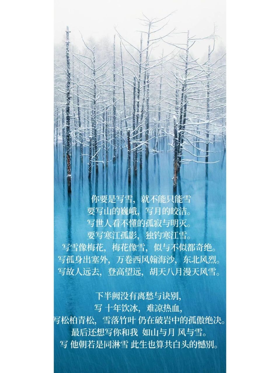 要写寒江孤影,独钓寒江雪.