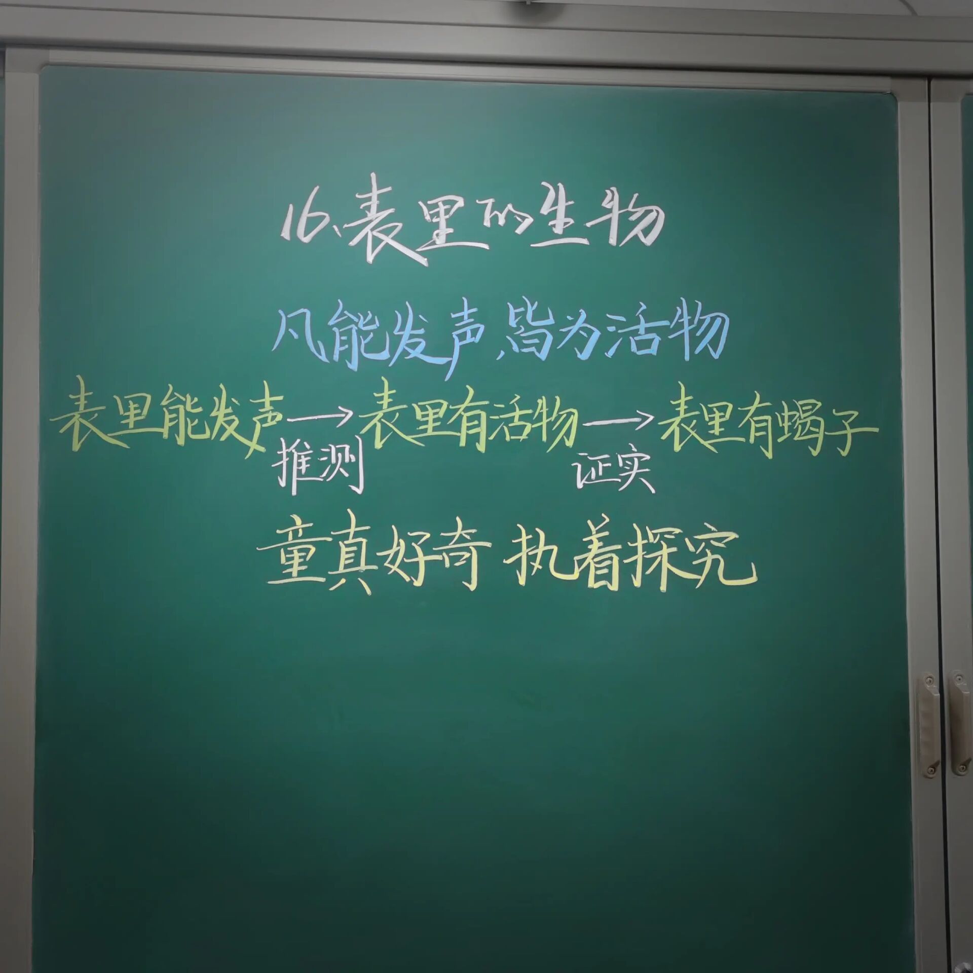 《表里的生物》板书设计