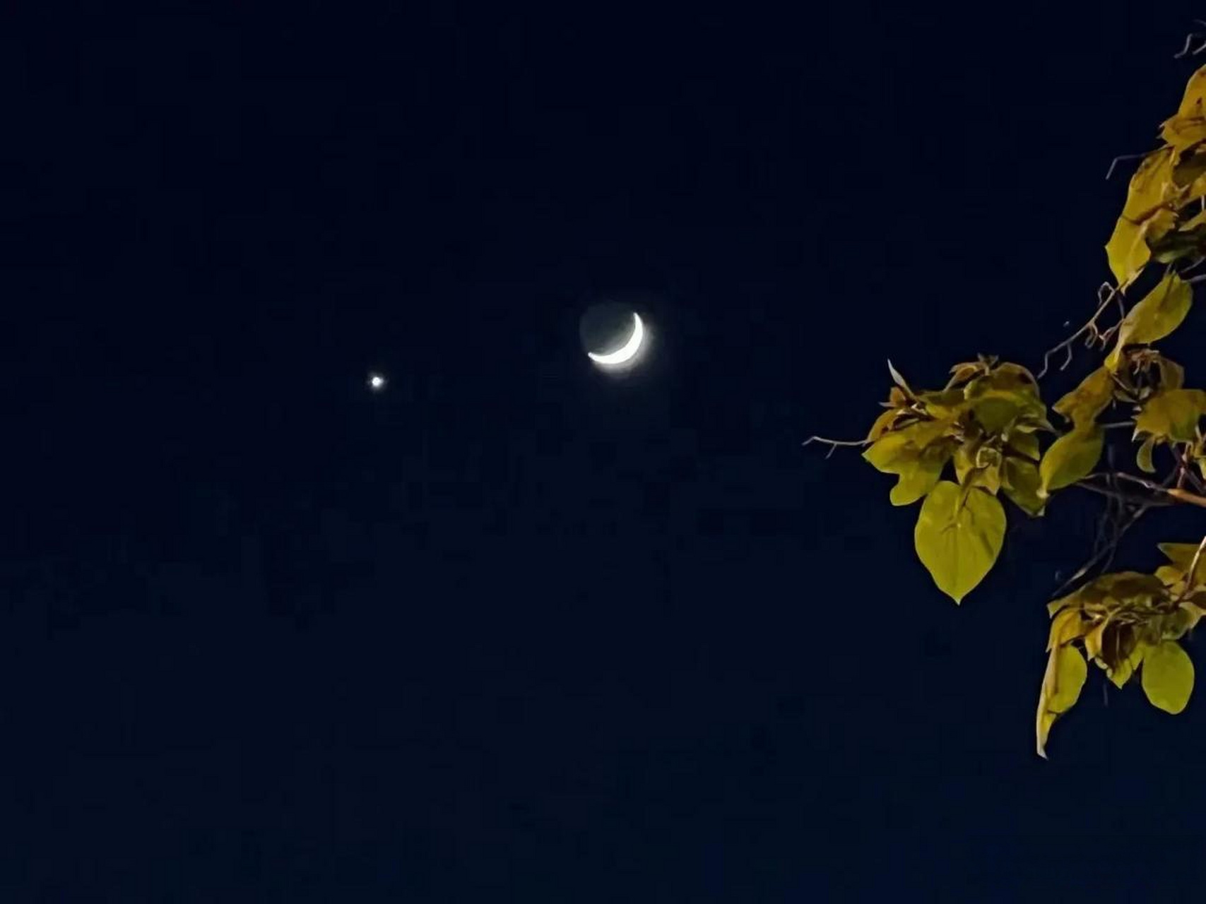 今晚金星伴月,其星分外闪亮,象学为:主兵戈相战不