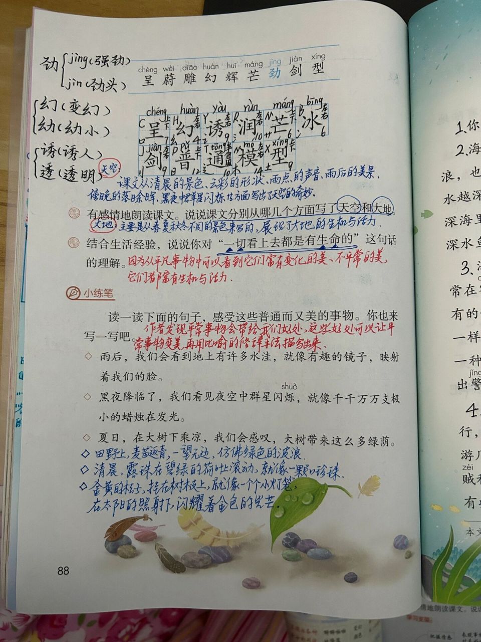 我们奇妙的世界课文图片