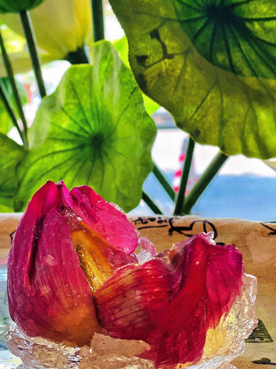 这个荷花琉璃果子 也太美了吧 从来没有见过 在荷花里吃荷花果子 甚美