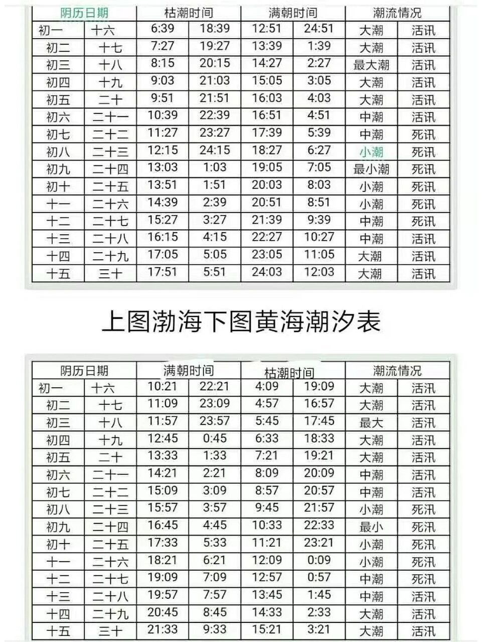 烟台潮汐表赶海图片