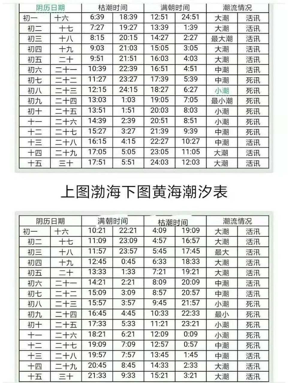 黄海渤海潮汐表(金石滩赶海)
