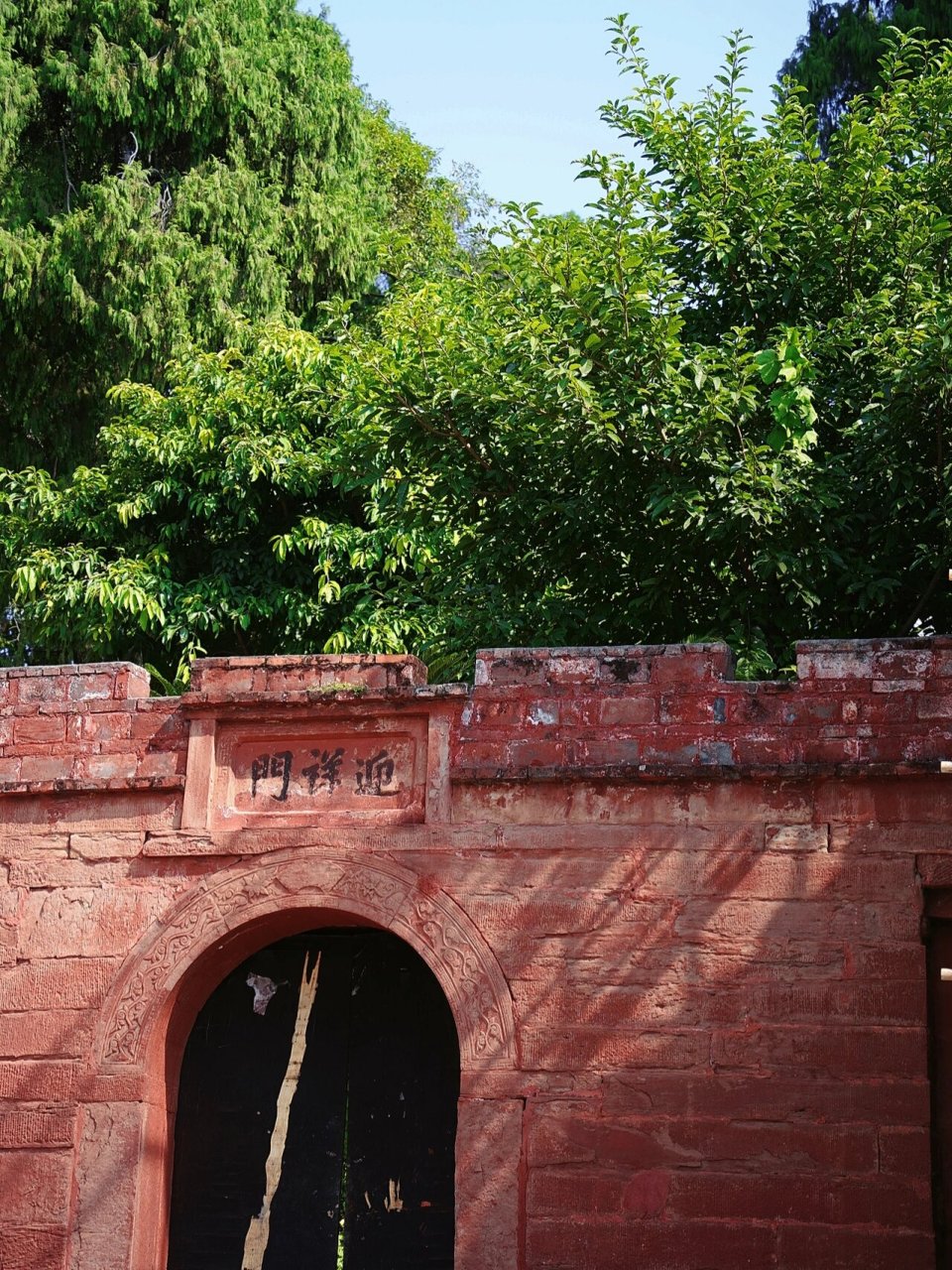 绵阳周边游|七曲大庙山爬山赏秋 一小时车程 已经有落满地的银杏叶了