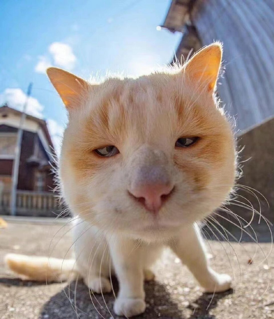 频繁换微信头像有问题吗?